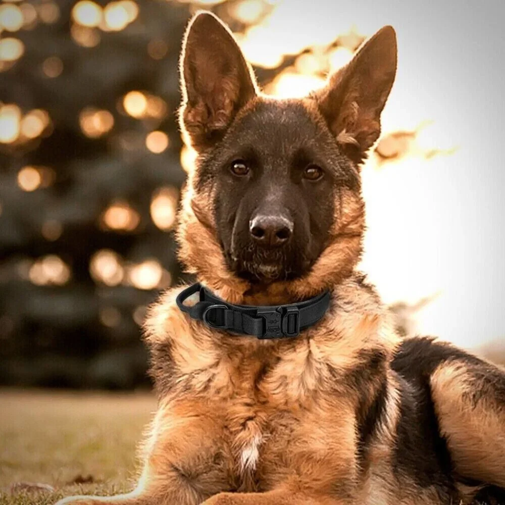 Tactical Dog Collar, Adjustable Training Nylon Dog Collar with Control Handle L